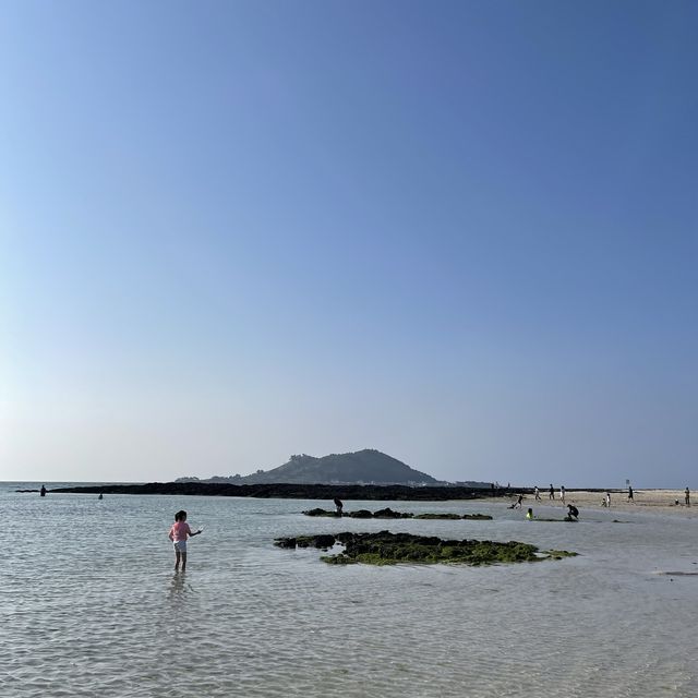 🏖 협재해수욕장이라고? 노노~ 난 금능해수욕장 갈래!