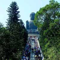 Tian Tan Buddha พระใหญ่ฮ่องกง