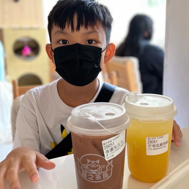 貓cafe againnnn…