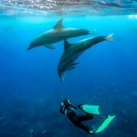Pulau Redang Trip