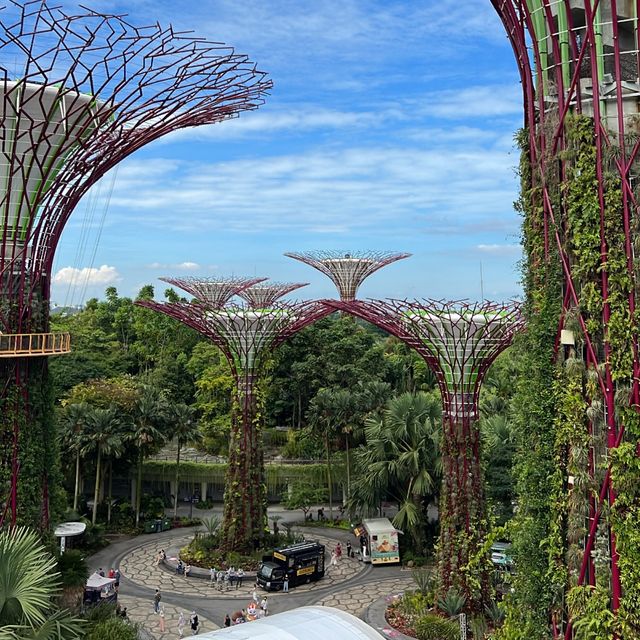 Supertrees Grove and OCBC Skywalk