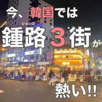 韓国/ソウル【鍾路3街】韓国屋台通りが今熱い！！