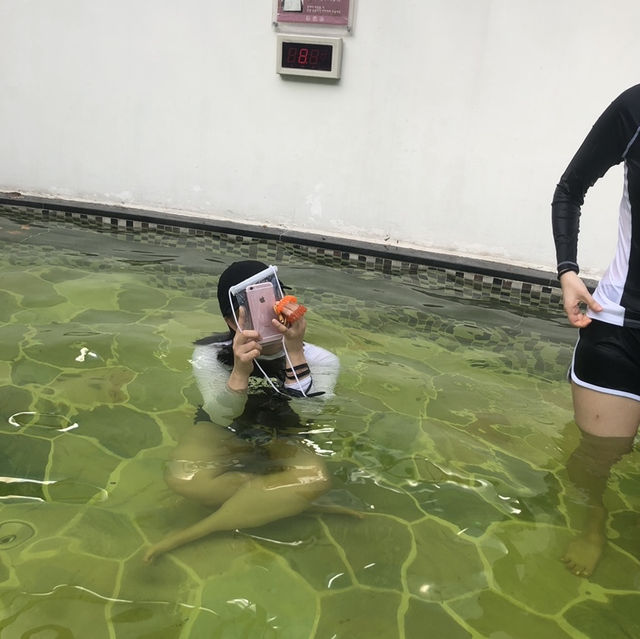 휘닉스파크