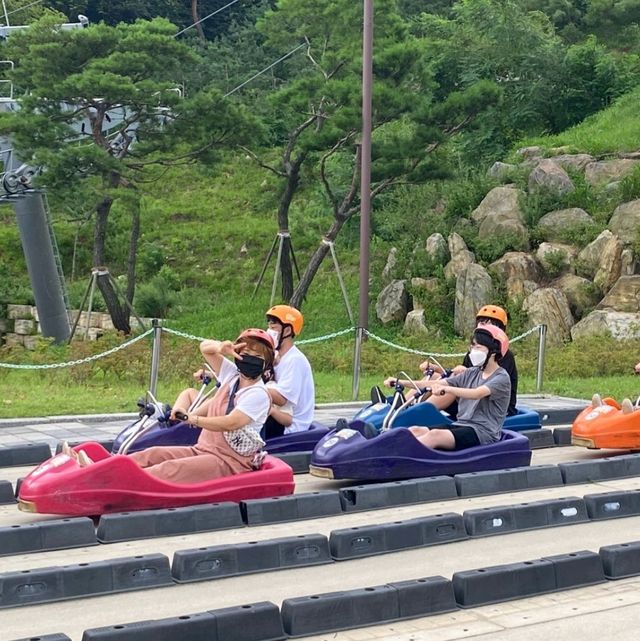 루지타고 액티비티 즐겨요~~