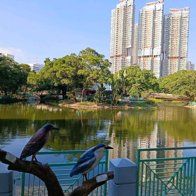 城市中一片靜土~屯門公園