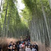 嵐山 竹林之道