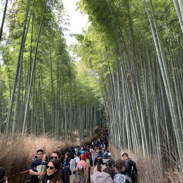 嵐山 竹林之道