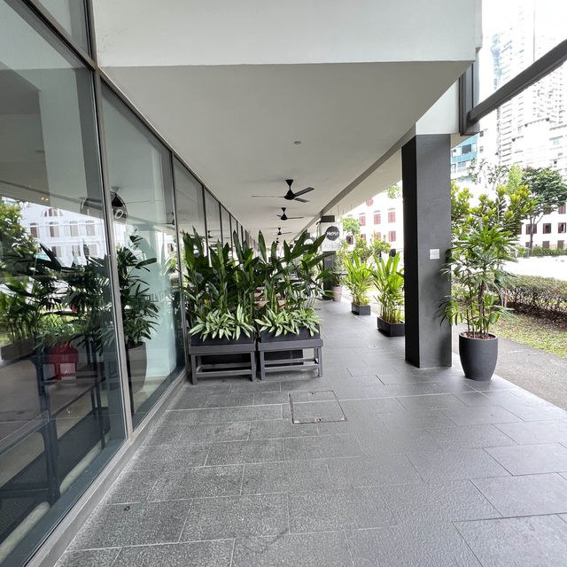 Greenery at Memo cafe