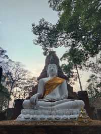 วัดนาควัชรโสภณ (วัดช้าง)