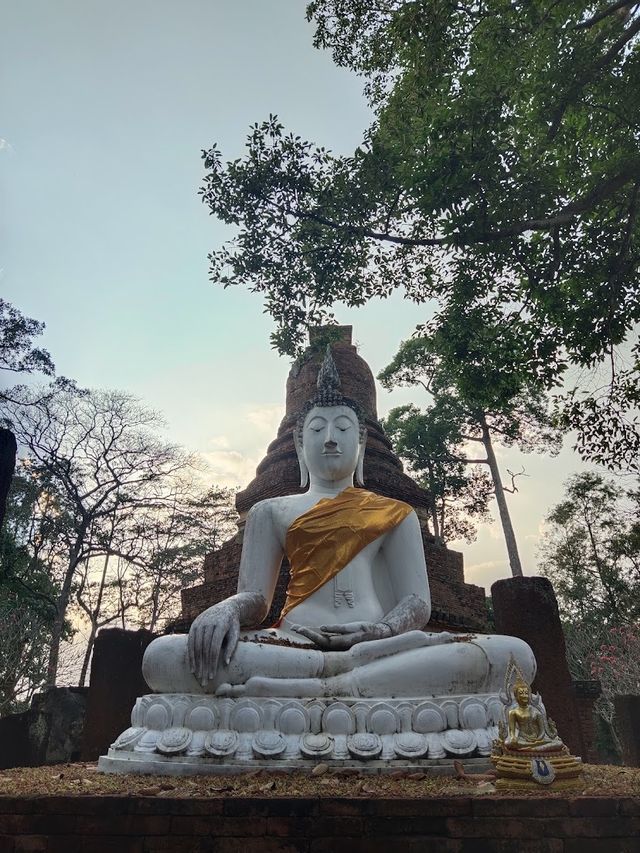 วัดนาควัชรโสภณ (วัดช้าง)