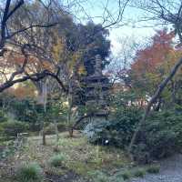 【東京】ザ・プリンスさくらタワーまで紅葉ぶら散歩