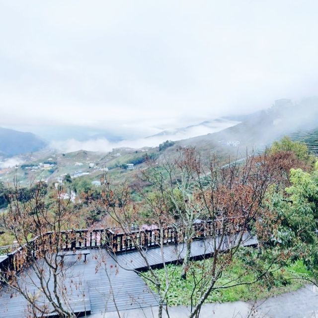有歷史意義的梨山賓館