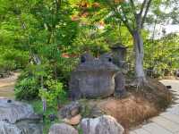 【福岡　如意輪寺】🐸かえる寺🐸
