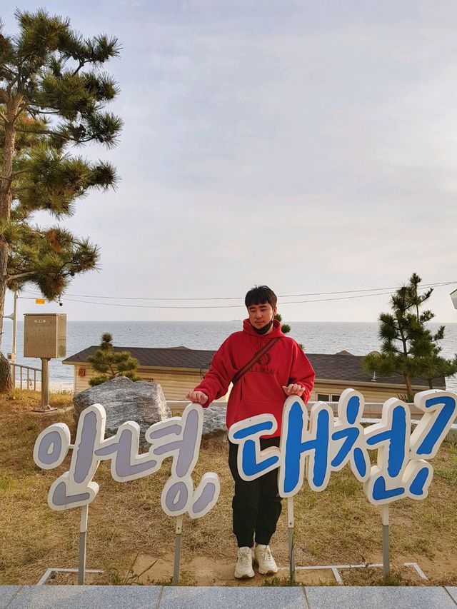 서해안 보령여행 with.데이나이스호텔