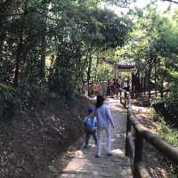 親子假期行山之旅😊🌈青衣自然教育徑