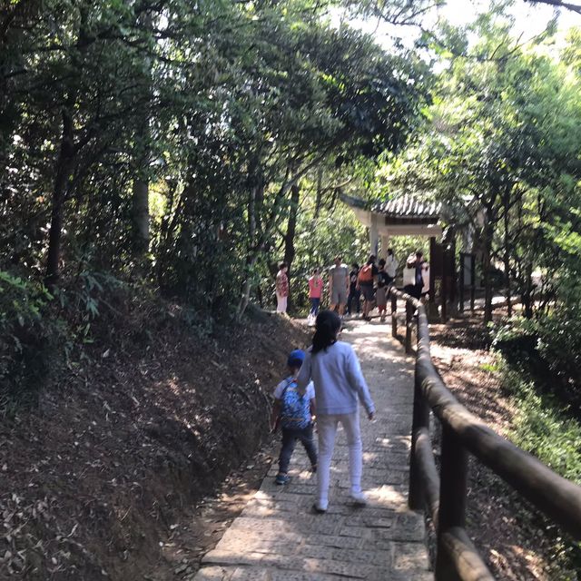 親子假期行山之旅😊🌈青衣自然教育徑