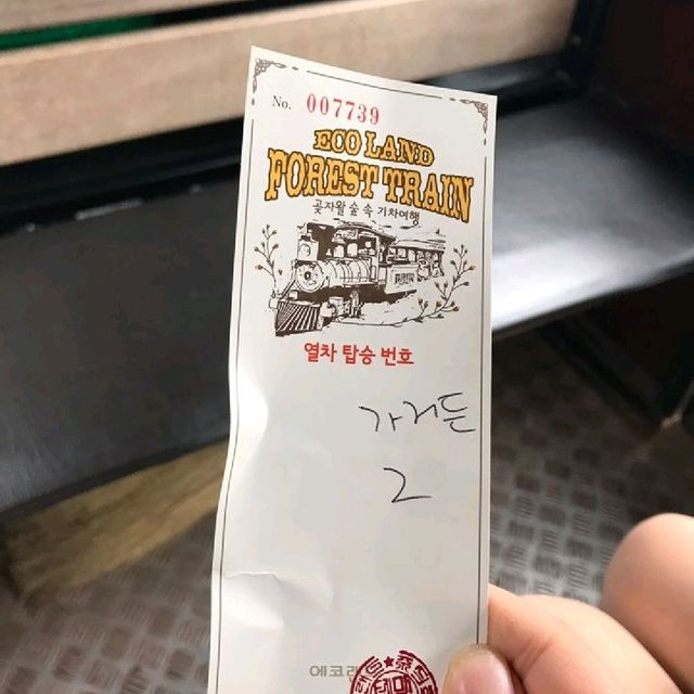 제주도 포토 맛집 [에코랜드]