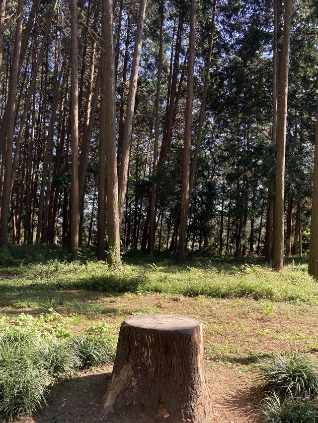 양산에 이런곳이?!