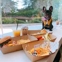 將軍澳超大pet friendly餐廳