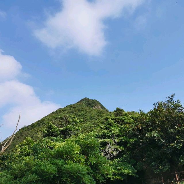 去港島西爬山，俯瞰維港