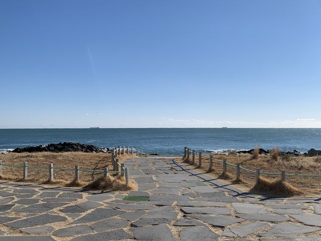 [🇰🇷, 부산] 기장의 오시리아 해안산책로 🌊