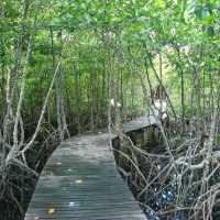 สถานีพัฒนาทรัพยากรป่าชายเลนที่ 4 เกาะช้าง