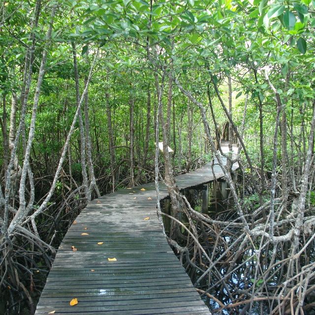 สถานีพัฒนาทรัพยากรป่าชายเลนที่ 4 เกาะช้าง