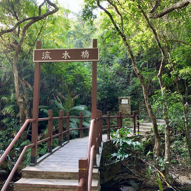 港版輕井澤-流水響水塘🏞
