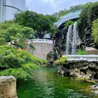 香港公園🏞鬧市中尋找一點寧靜😌
