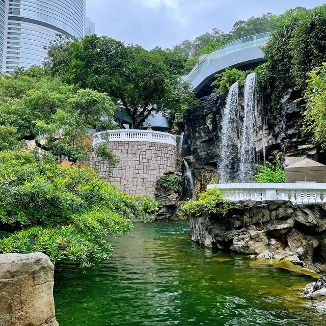 香港公園🏞鬧市中尋找一點寧靜😌