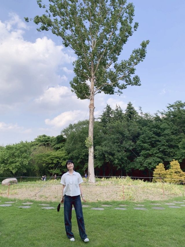 [대구] 요즘 대세는 풀멍🌳🌿💚