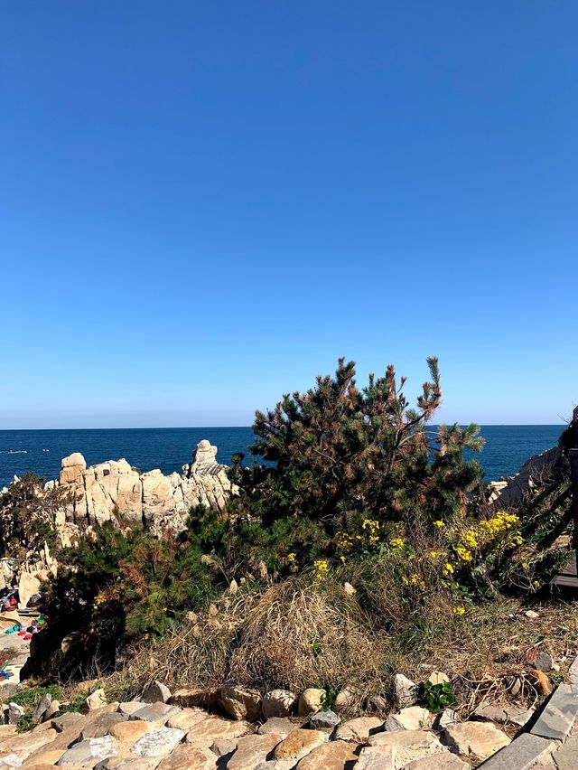 깨끗한 바다를 볼 수 있는 울산 대왕암공원 🪨