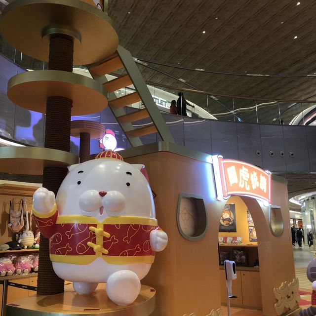 可愛老虎仔展覽🐯
