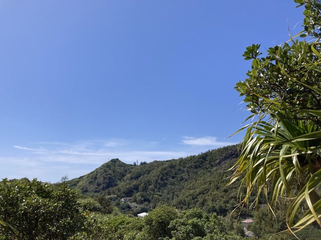 【東京】父島を一望できる「大神山」