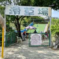 免費入場的小園地 📍天水圍