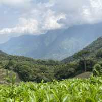 God’s own land