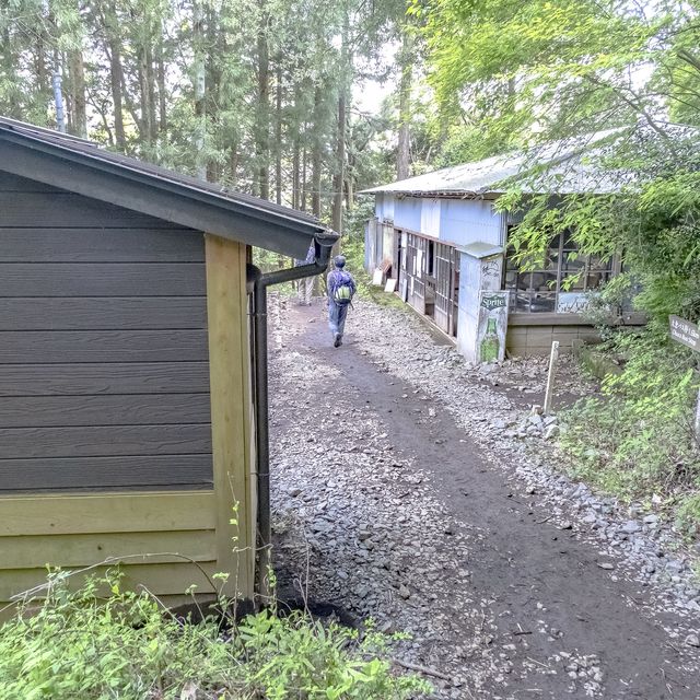 新緑の観音茶屋