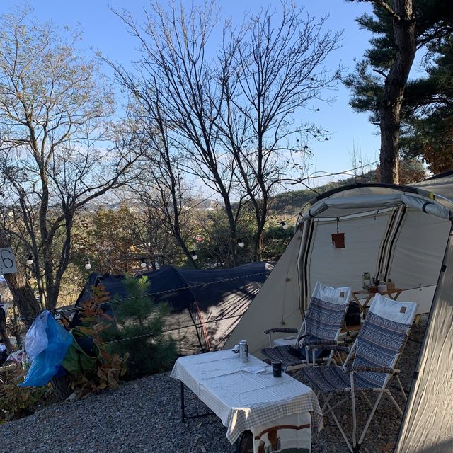 ⛺️캠핑은 이곳으로⛺️ 대부도 "바다향기캠핑장"