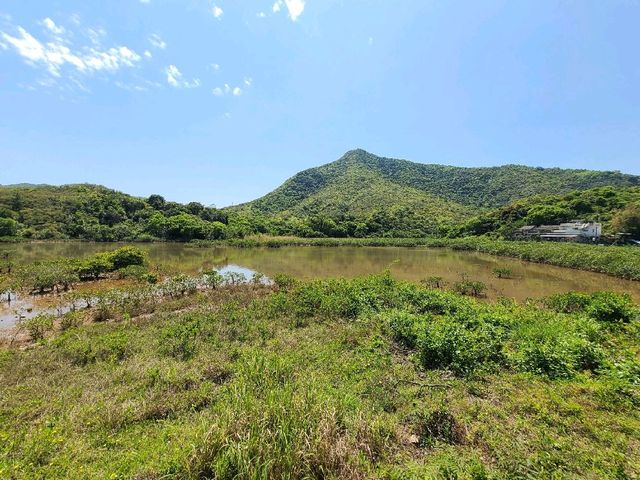 人間天堂~三椏🏞️