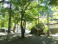 歴史ある味わいのある神社