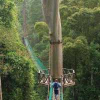  DANUM VALLEY LAHAD DATU SA
