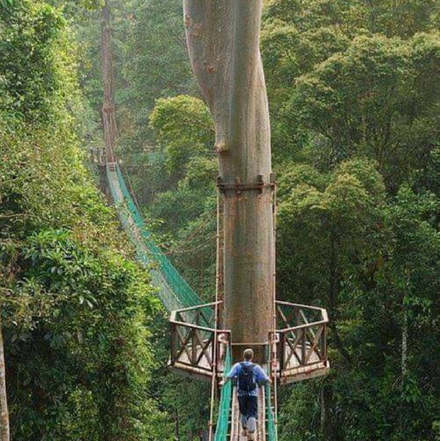  DANUM VALLEY LAHAD DATU SA