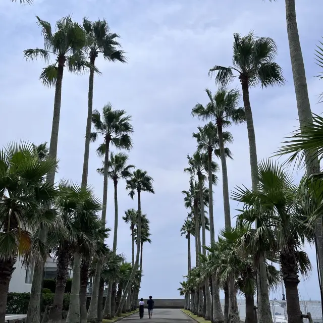 【神奈川】まるでアメリカ西海岸🇺🇸逗子マリーナ