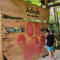 Singapore Zoo Expedition Trip