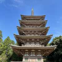 【京都】醍醐寺