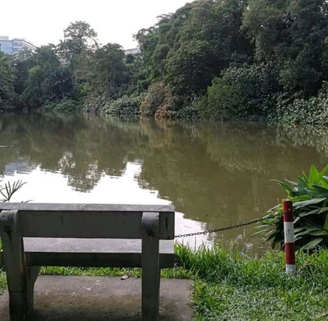 Hiking In Kent Ridge Park On Weekends 