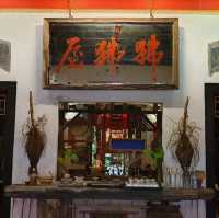 The Baboon House