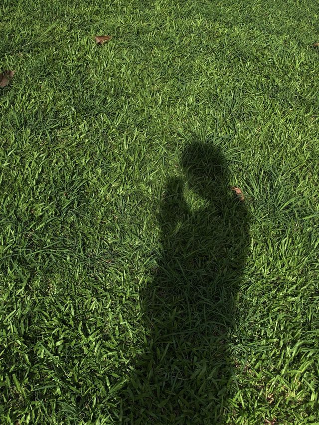 방콕 도심에서 자연을 느끼고 싶다면 ’룸피니공원‘ 🌳〰️💭