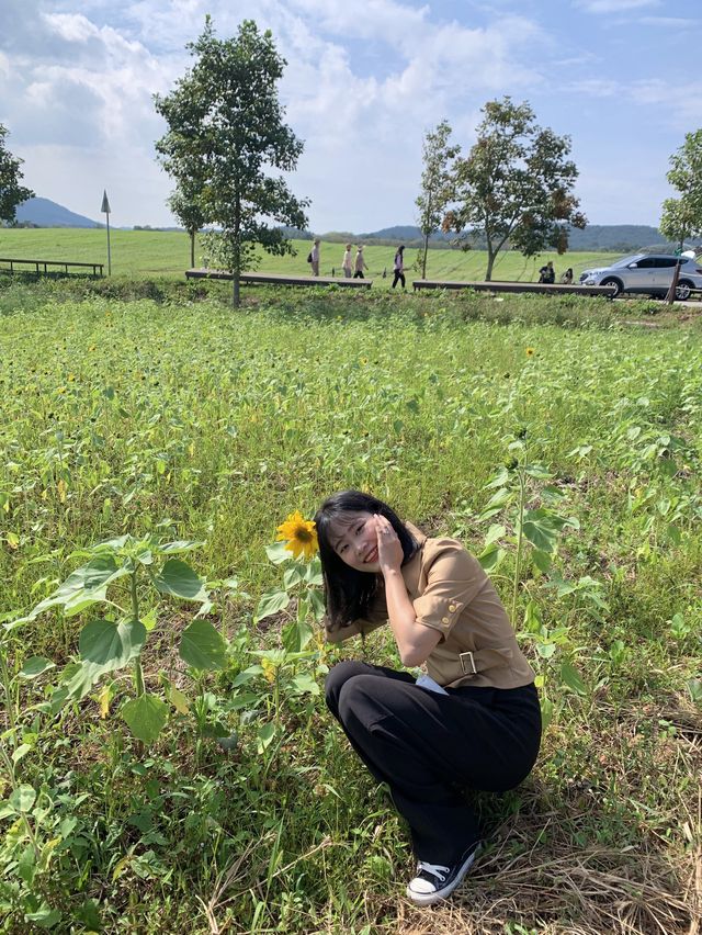 [고창]가을의 시작을 알리는 학원농장
