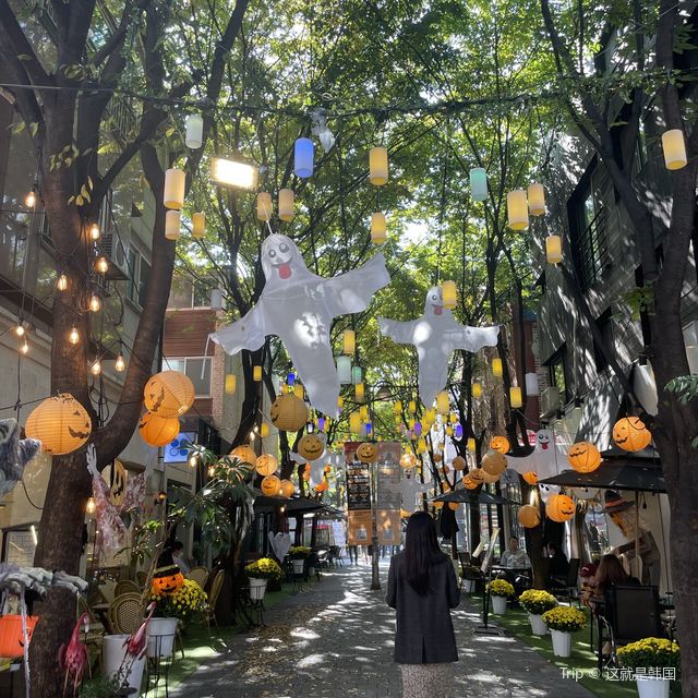 할로윈 기분 내러 보정동 카페거리🎃